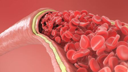 3d illustration of red blood cells inside an artery, vein. Healthy arterial cross-section blood flow. Scientific and medical microbiological concept. Enrichment with oxygen and important nutrients.の写真素材