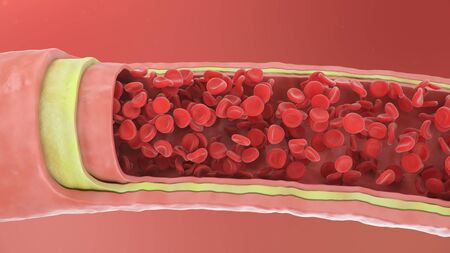 3d illustration of red blood cells inside an artery, vein. Healthy arterial cross-section blood...
