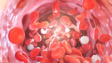 Red blood cells inside an artery, vein. Flow of blood inside a living organism. Scientific and medical concept. Transfer of important elements in the blood to protect the body. 3d illustrationの写真素材