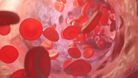 3d illustration of red blood cells inside an artery, vein. The flow of blood inside a living organism. Scientific and medical microbiological concept. Enrichment with oxygen and important nutrients.の写真素材