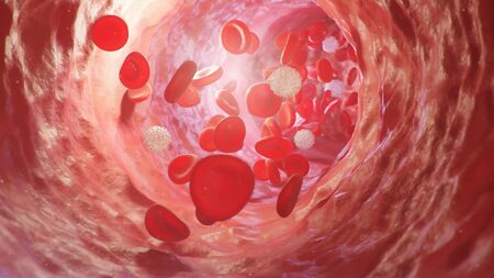 Red blood cells inside an artery, vein. Flow of blood inside a living organism. Scientific and...