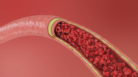 Cross section artery view. Red blood cells inside an artery, vein. Healthy blood flow. Scientific and medical concept. Transfer of important elements in the blood to protect the body. 3d illustrationの写真素材