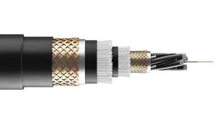 3d rendering, concept of fiber optic cable isolated on white background. Future cable technology. Detailed curved cable in cross section. Powerful communication technology. Network concept.の写真素材