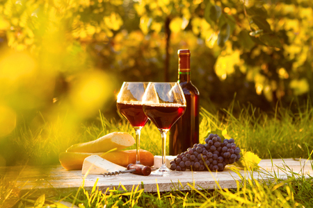 Two glasses of red wine, bottle, cheese and baguetteの写真素材