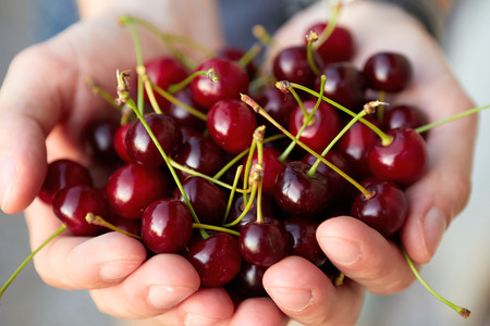 Man is holding a handful of fresh cherries