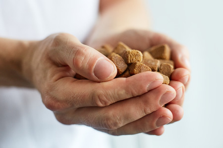 Male hands holds cubes of brown sugar
