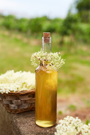 Homemade elderflower syrup in a bottle and basket with elderflowersの写真素材