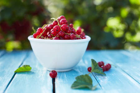 Bowl of red currant on a wooden tableの写真素材