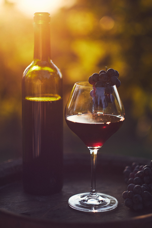 A glass of red wine with on a wooden barrel in the vineyardの写真素材