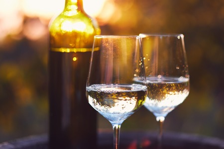 Two glasses of white wine at sunset in the vineyardの写真素材