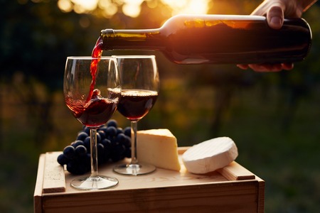 Pouring red wine into the glass in the vineyard at sunsetの写真素材