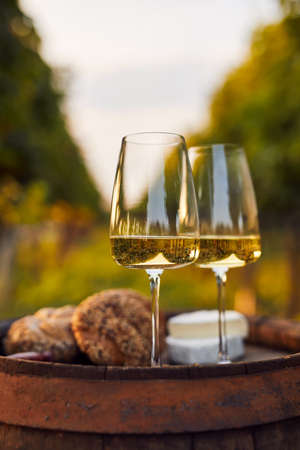 Detail shot of two glasses of white wine on an old barrel in the vineyard