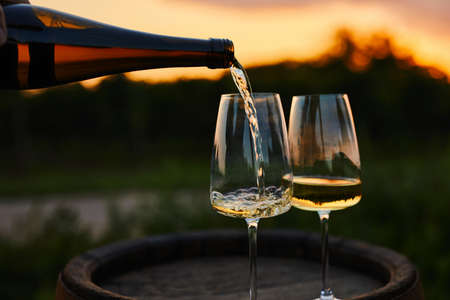 Pouring white wine into glasses on an old barrel, wine tastingの写真素材