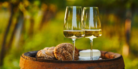 Two glasses of white wine on an old barrel outside in the vineyardの写真素材
