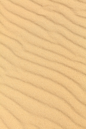 Sand waves on the highest dune in Europe - Dune of Pyla (Pilat), Arcachon Bay, Aquitaine, Franceの写真素材
