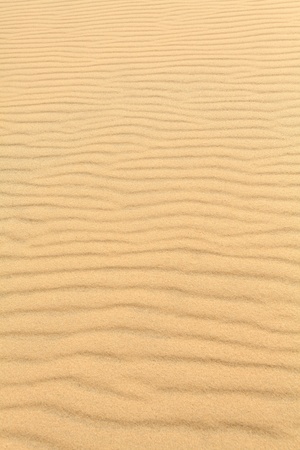 Sand waves on the highest dune in Europe - Dune of Pyla (Pilat), Arcachon Bay, Aquitaine, Franceの写真素材