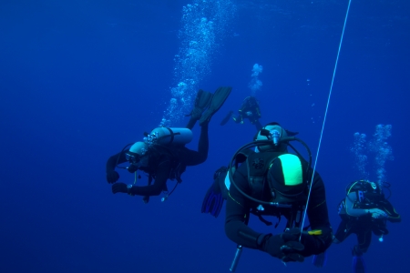 Group of divers on 5-min safety stop, Cubaの写真素材