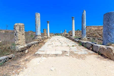 Ruins of Salamis, Famagusta aeria, North Cyprusの写真素材