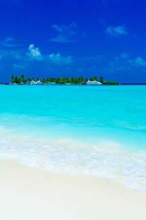 Tropical Beach with small palm tree Island and Sailboatsの写真素材