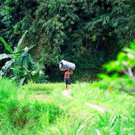 Asian Man Carrying Heavy Weight on Head, Bali, Indonesiaの写真素材