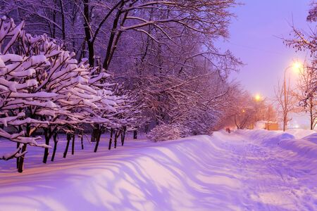 Illuminated Night Winter City Sceneの写真素材