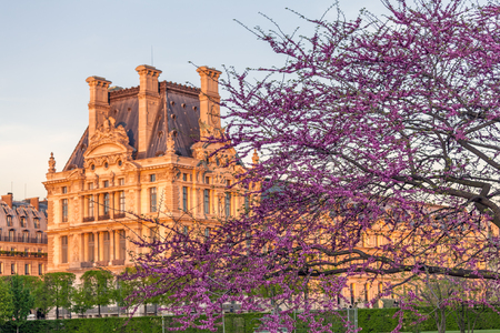 Jardin des Tuileries (The Tuileries Garden), Paris, Franceのeditorial素材