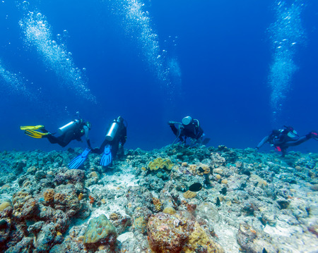 Group of divers hanging on reef wall in strong current, Maldivesの写真素材