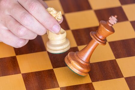 The end of a chess game a player wins king with knight on the Board