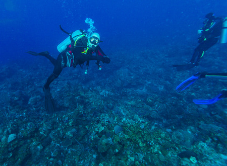 Underwater scene with scuba diver in the Caribbean sea Cuban diving