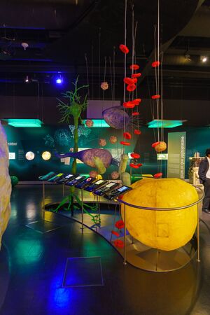 Munich, Germany - October 20, 2017:  Hall  of Deutsches museum dedicated to microbiology and medicine with mock-ups of cells and organsのeditorial素材