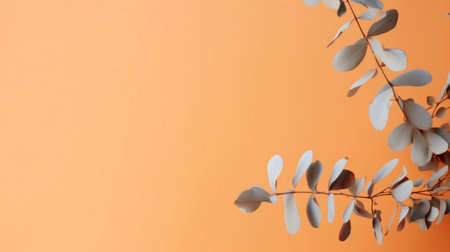 white eucalyptus branch on orange background with copy spaceの素材