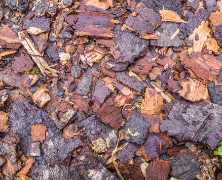 Wood chips for landscaping in the gardens. Ecological background.の写真素材