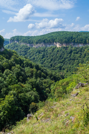 Dense green forest climbing the slopes of the Adygeya republic in South of Russiaの写真素材