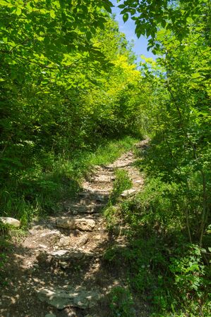 Stone staircase leading up, Adygeya Republic with the sun shines through the leavesの写真素材