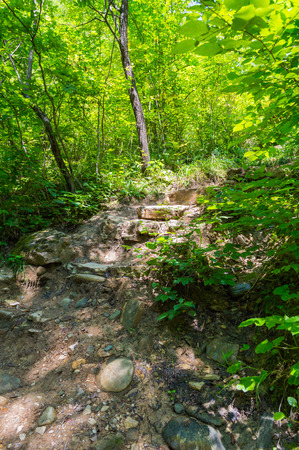 Stone staircase leading up, Adygeya Republic with the sun shines through the leavesの写真素材