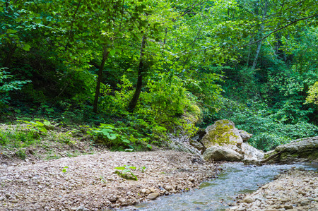 River deep in mountain forest. Nature composition.の写真素材