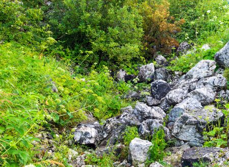 Through granite stones boulders the green grass simply growsの写真素材