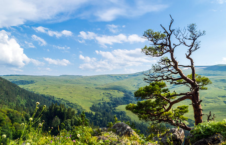 Valley plateau Lago Naki in Adygea in Southern Russiaの写真素材