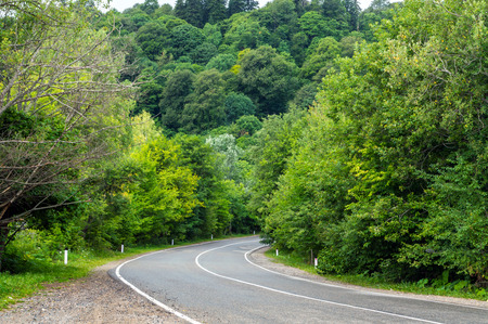 Asphalt roads after rain in the forest and turn rightの写真素材