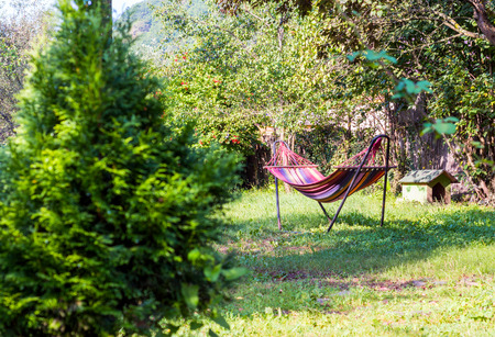 Colored hammock in green garden on background. Blurred thuja on foreground. Warm morning sunlight in summer.の写真素材
