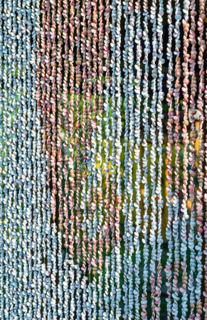 Curtain from seashell. Texture.の写真素材