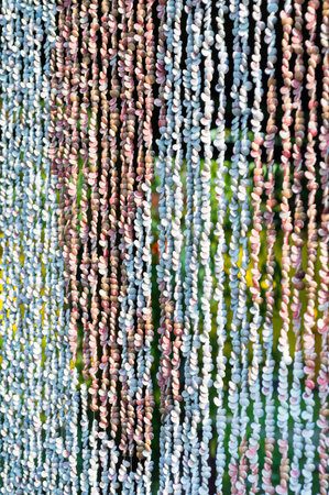 Curtain from seashell. Texture.の写真素材