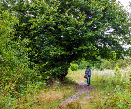 Rear view of young man hiking into the nature. Tourist with a bag walking along the trail in the forest.の写真素材