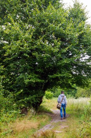 Rear view of young man hiking into the nature. Tourist with a bag walking along the trail in the forest.の写真素材
