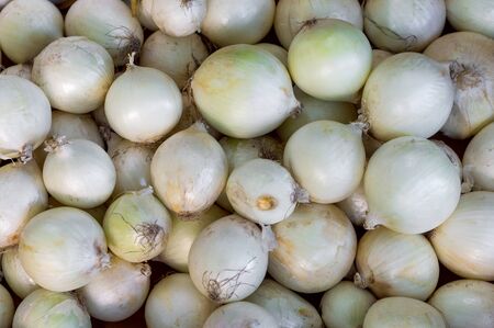Fresh white onions. Onions background. Ripe onions. Onions in marketの写真素材
