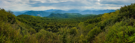 Mountain forest landscape at the foot of the Caucasus Mountains, Adygea, Russia.の写真素材