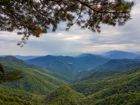 Mountain forest landscape at the foot of the Caucasus Mountains, Adygea, Russia.の写真素材