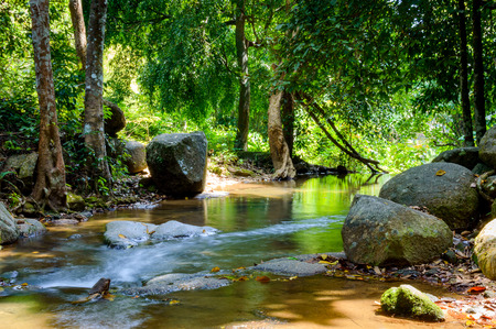 Bright jungle with stone and river. Natural landscape.の写真素材