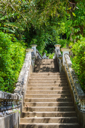 Stairway steps up in nature. The way up to nature.の写真素材