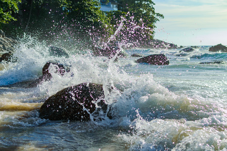 Wave splash in the sea against stone on the beach